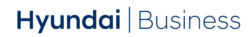 Hyundai Business